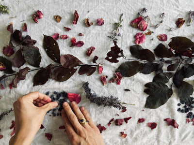 Image for Pflanzen Färbe Workshop